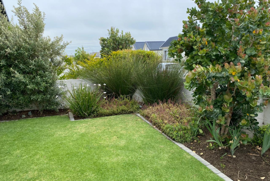 Landscaping garden services in somerset west