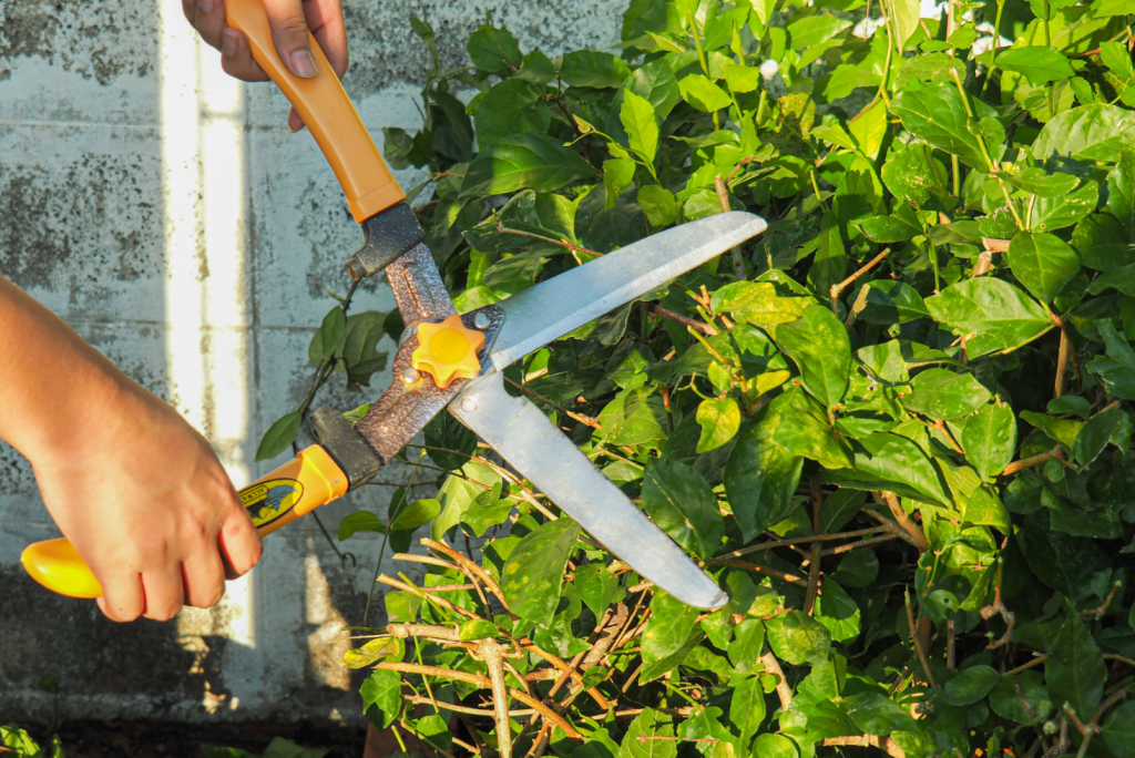 Landscaping Somerset West