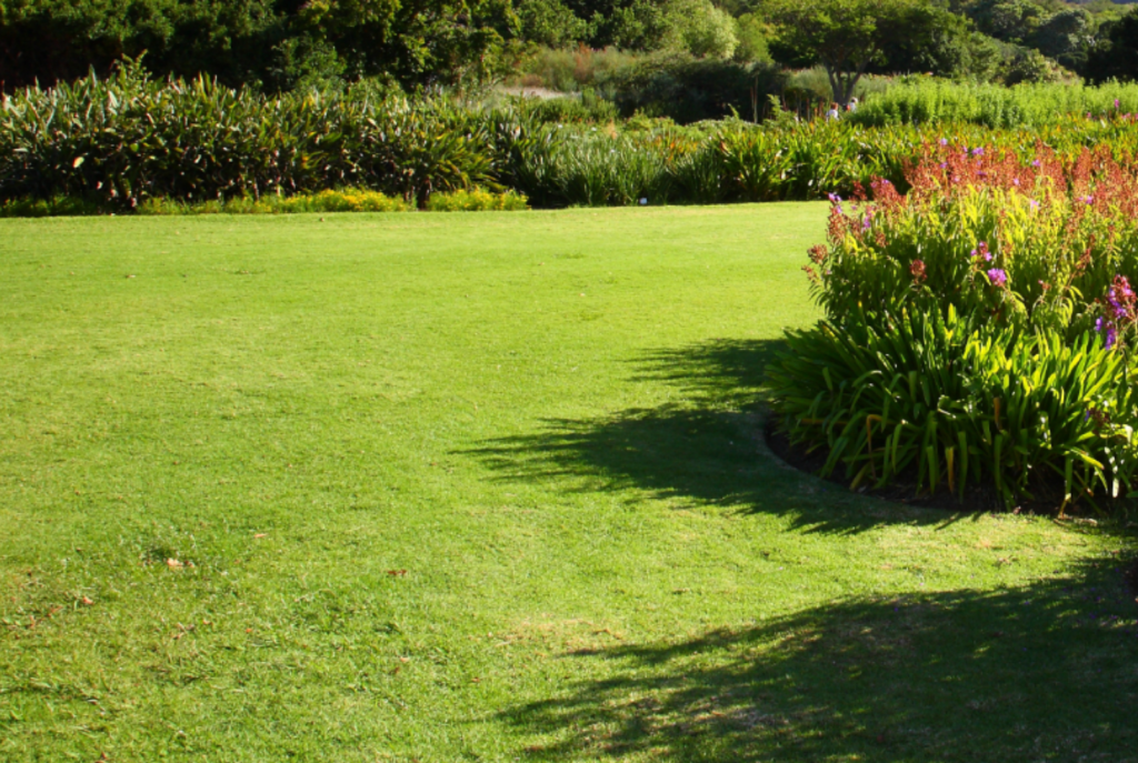 Garden services for corporate office blocks and residential estate