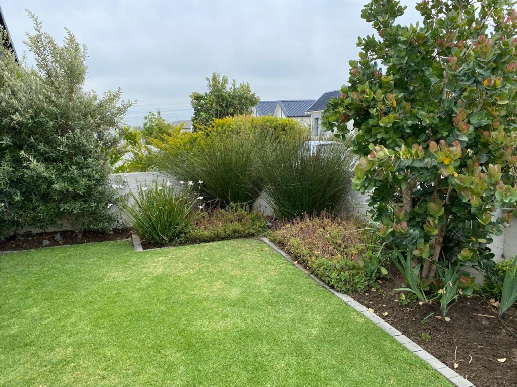 Landscaping Somerset West
